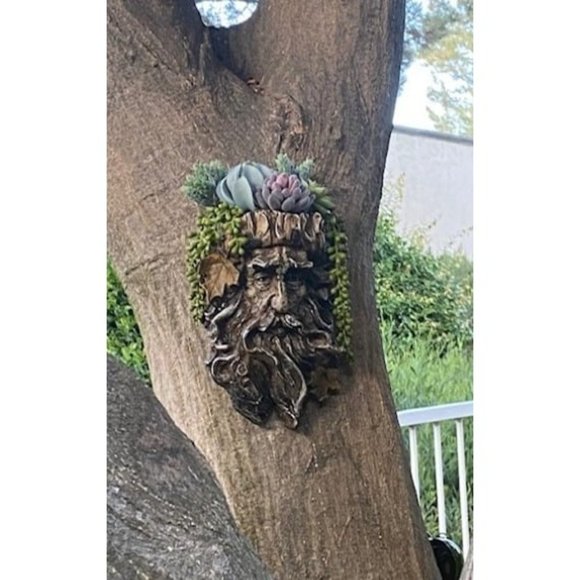 Old Man' Tree Hanging Planter - Yard Decorations - Whimsical - Picture 2 of 3